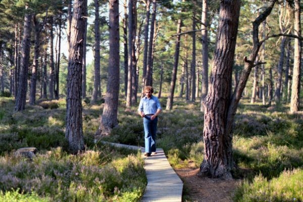 Landmark Forest Adventure