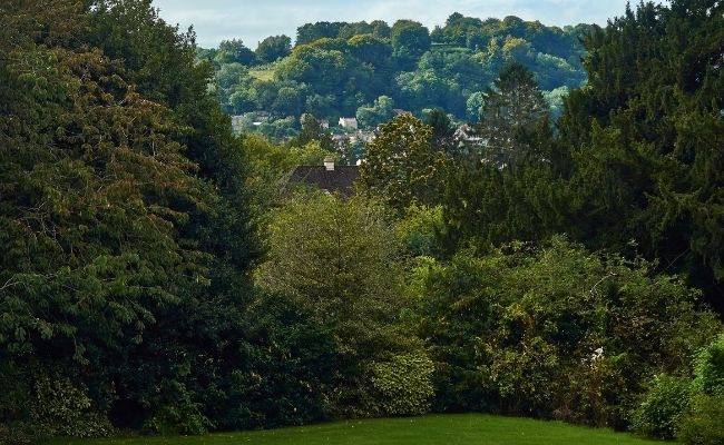 Looking through the green trees along the Bath Skyline Walk, Bath