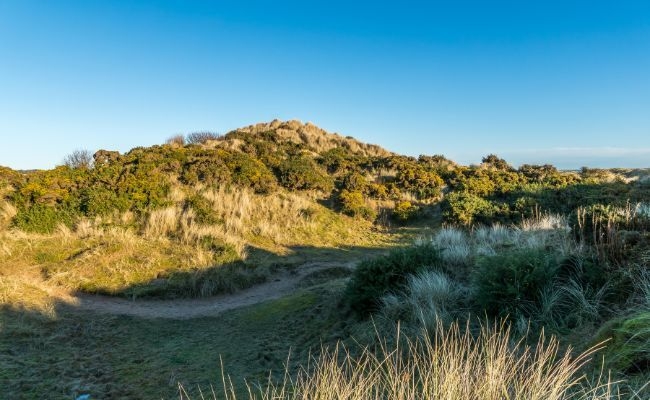 The rolling sand dunes of Balmedie Beach, Aberdeen