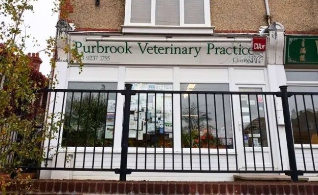 Purbrook Vets