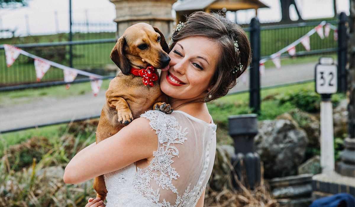 Felicity, in her wedding dress, holds Minnie in her arms. Minnie licks her affectionately.