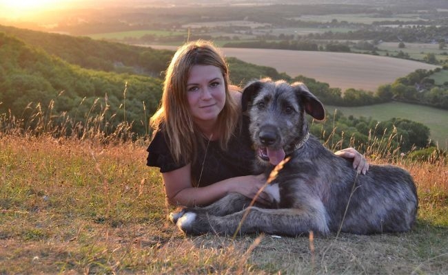 Nimrod, the Irish Wolfhound