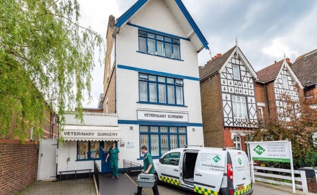 Streatham Veterinary Surgery