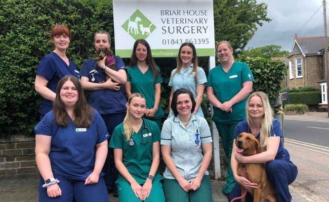 Briar House Vets