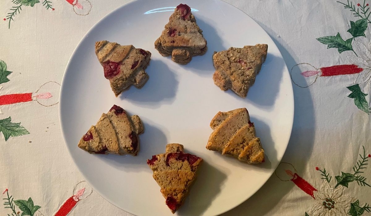 Christmas tree cranberry doggy biscuits