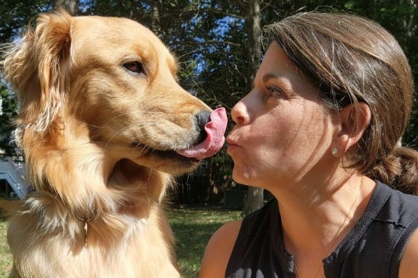 Freya, the golden retriever