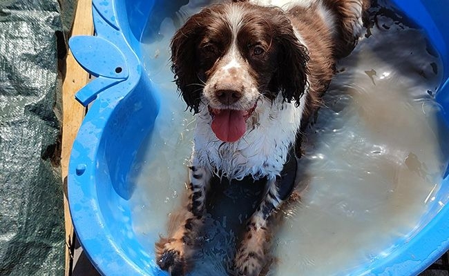 Flash sits in an outdoor bath, the water is getting muddier as he sits in it