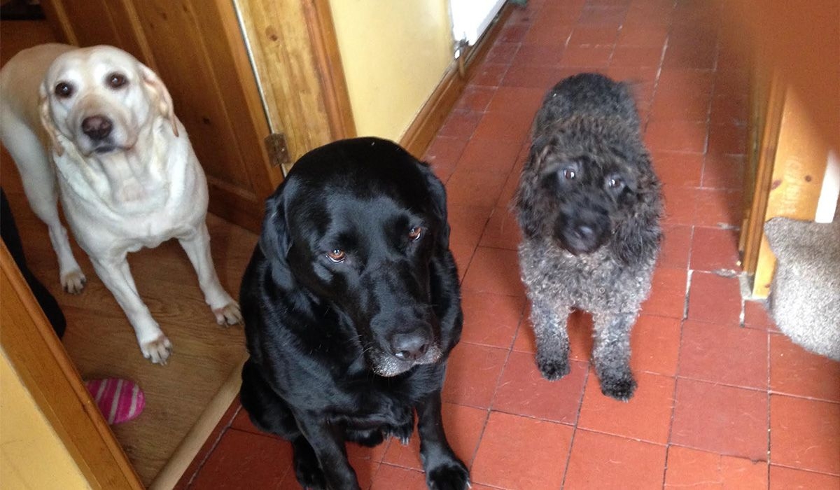 Max, Phoebe & Molly stand in a tiled hallway