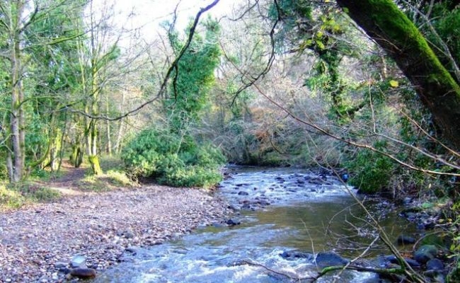 A shallow river at Brock Bottom