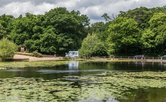 The large pond with an ice cream truck sitting at the opposite end at Keston Common