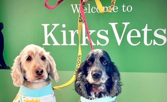 Kirks Vets