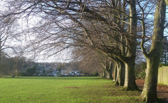 A fresh Autumn morning at Goddington Park, the trees have lost all their leaves.