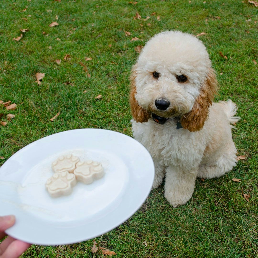 Banana and peanut butter treats