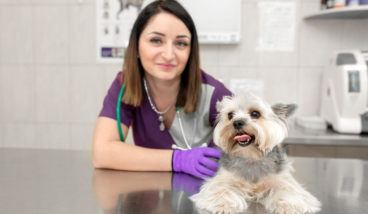 Local vets in Lancashire