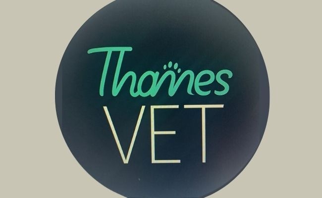 Thames Vet