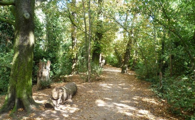 A woodland path at Cannon Hill Park, Birmingham