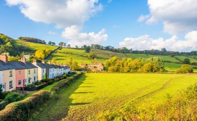 Bright yellow/green fields with a line of pastel coloured houses lining the hedgerow