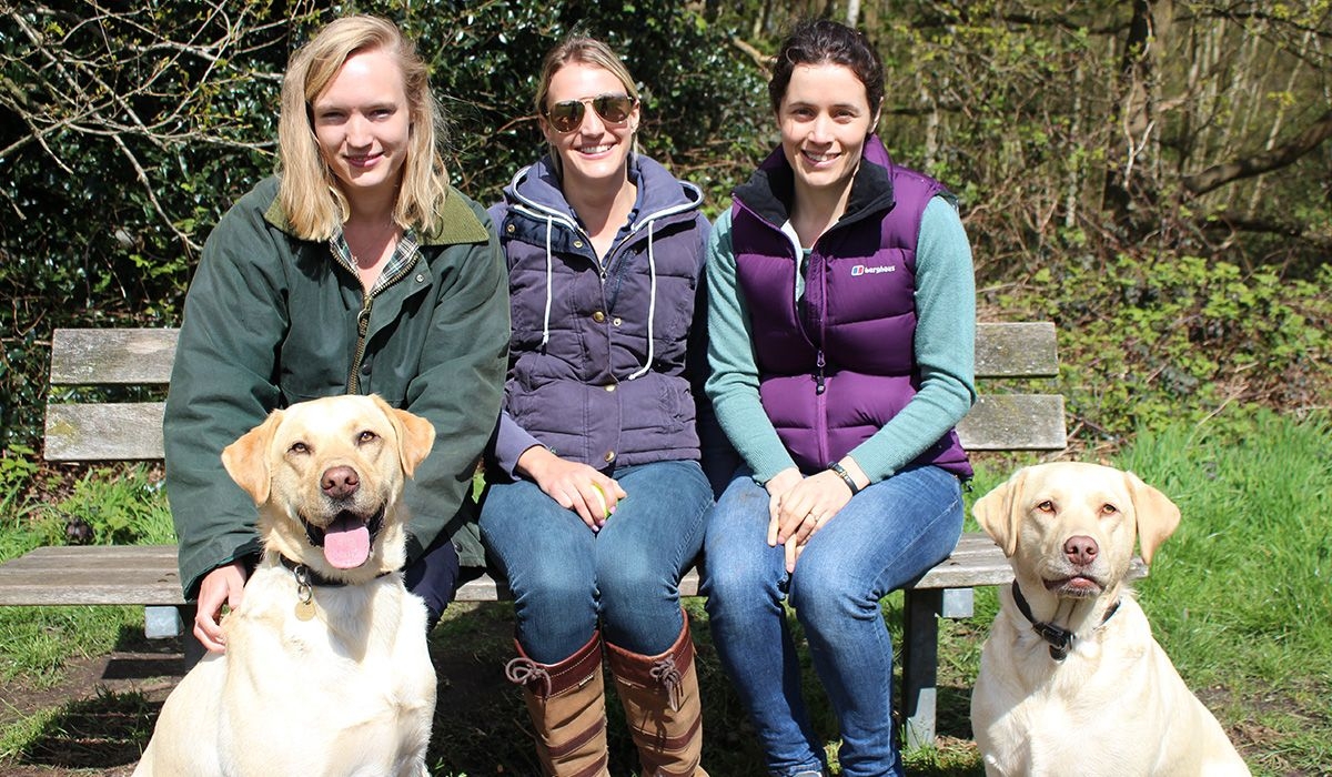 Three people are sitting on a bench and two large, golden dogs are sitting in front of them