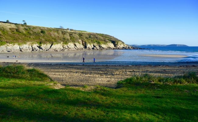 A quiet beach with very grassy cliffs and dunes lining the sand