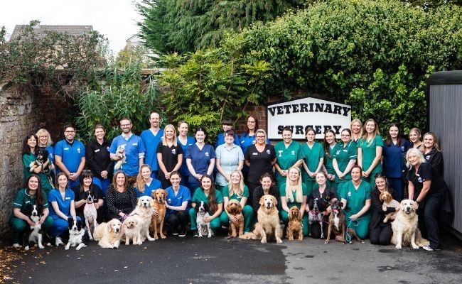 ICR Veterinary Group