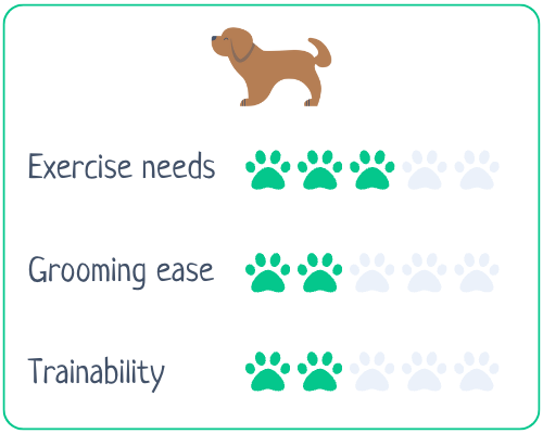 Basenji  Exercise Needs 3/5 Grooming Ease 2/5 Trainability 2/5