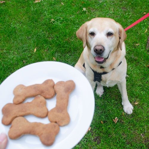 Banana and peanut butter treats