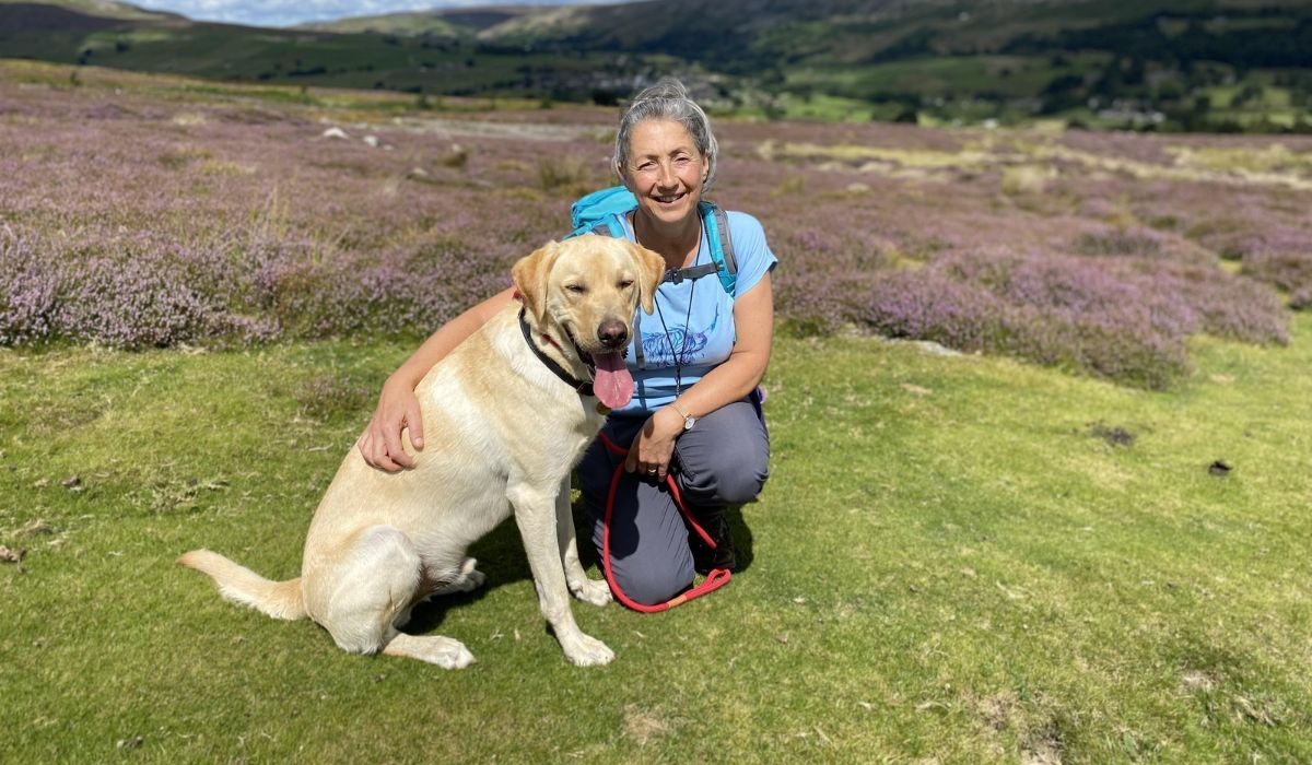 A beautiful Golden Retriever out on a walk in nature with his trusted dog walker