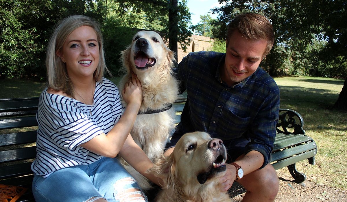 Two people are sitting on a park bench with two large blonde dogs