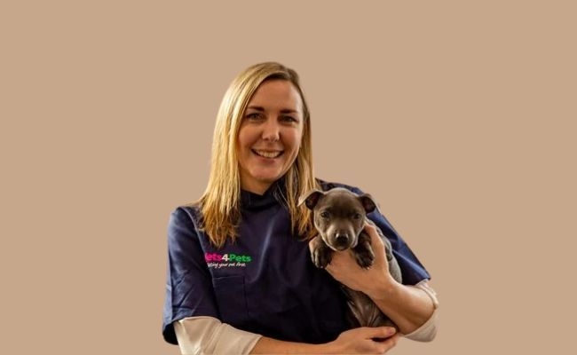 Bracknell Vets4Pets