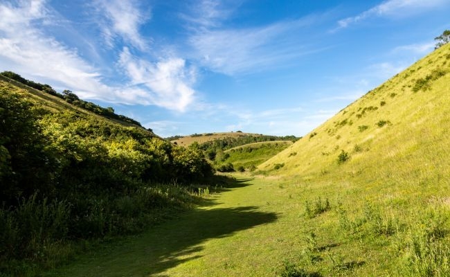 A beautiful summer's day at The Devil's Dyke