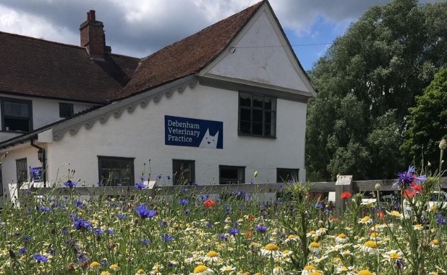 Debenham Veterinary Practice