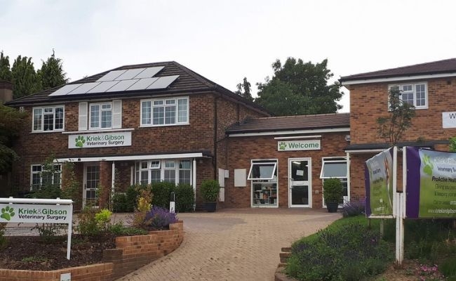 Kriek and Gibson Veterinary Surgery