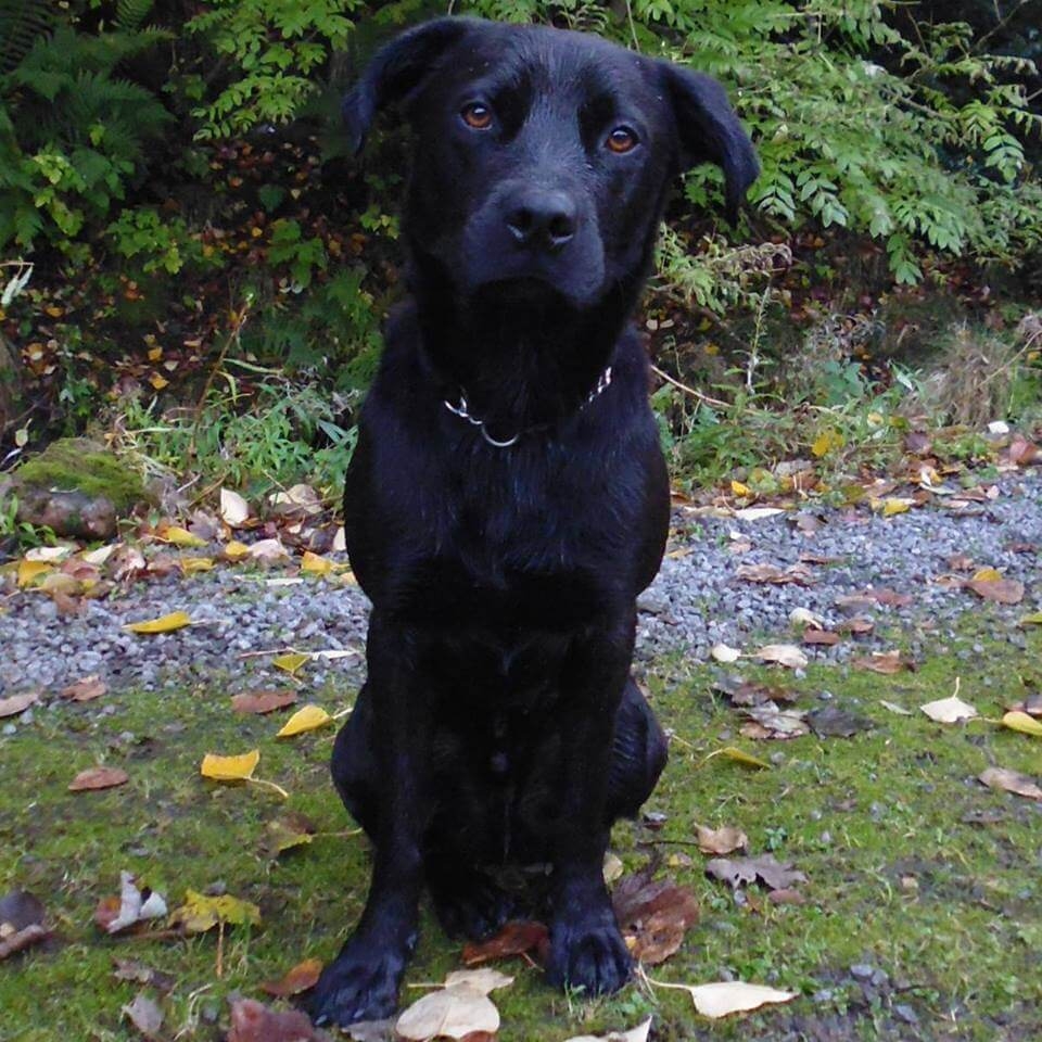 Bruce sitting in a park