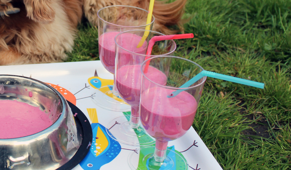 A dog bowl and three glasses filled with bright pink 'Fruity Smoothie'.