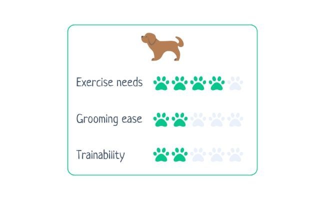 Samoyeds  Exercise Needs: 4/5 Grooming Ease: 2/5 Trainability: 2/5