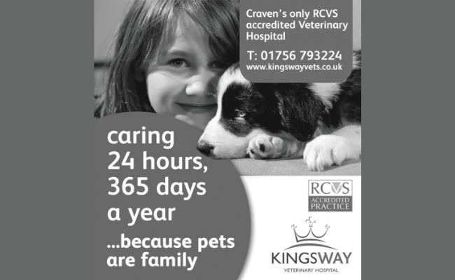 Kingsway Vets