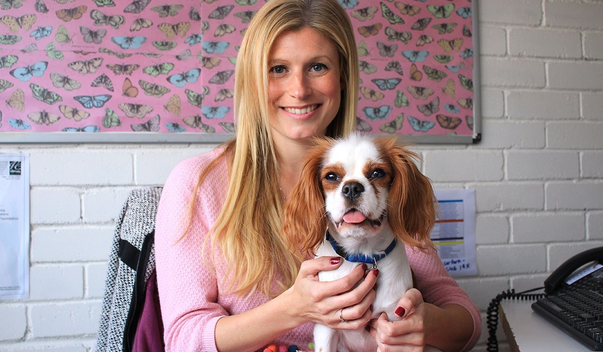 A small white and tan dog with long, silky ears is sitting on the lap of a lady who is sitting at her desk