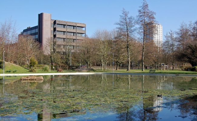 The lake on a quiet morning at Eastrop Park, Basingstoke