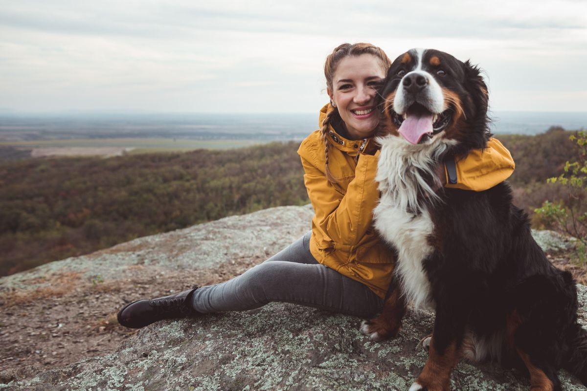 Why students make great dog walkers