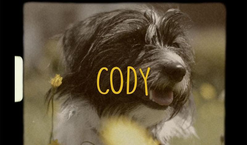 cody film