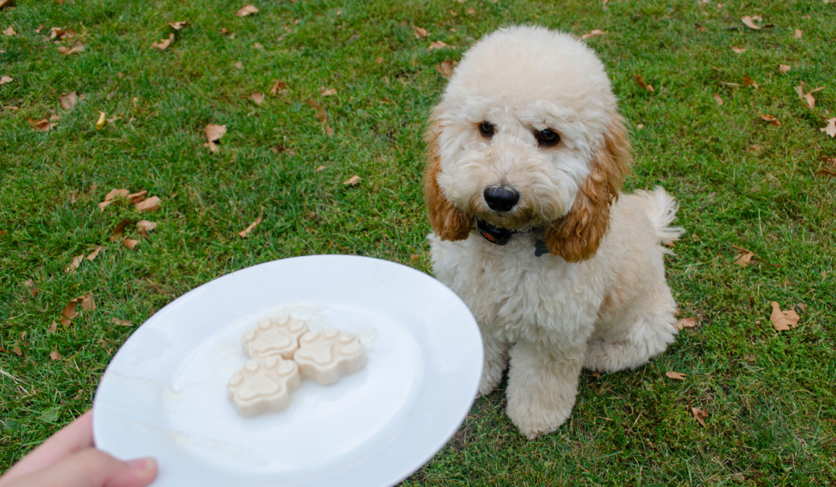 Banana and peanut butter yoghurt treats