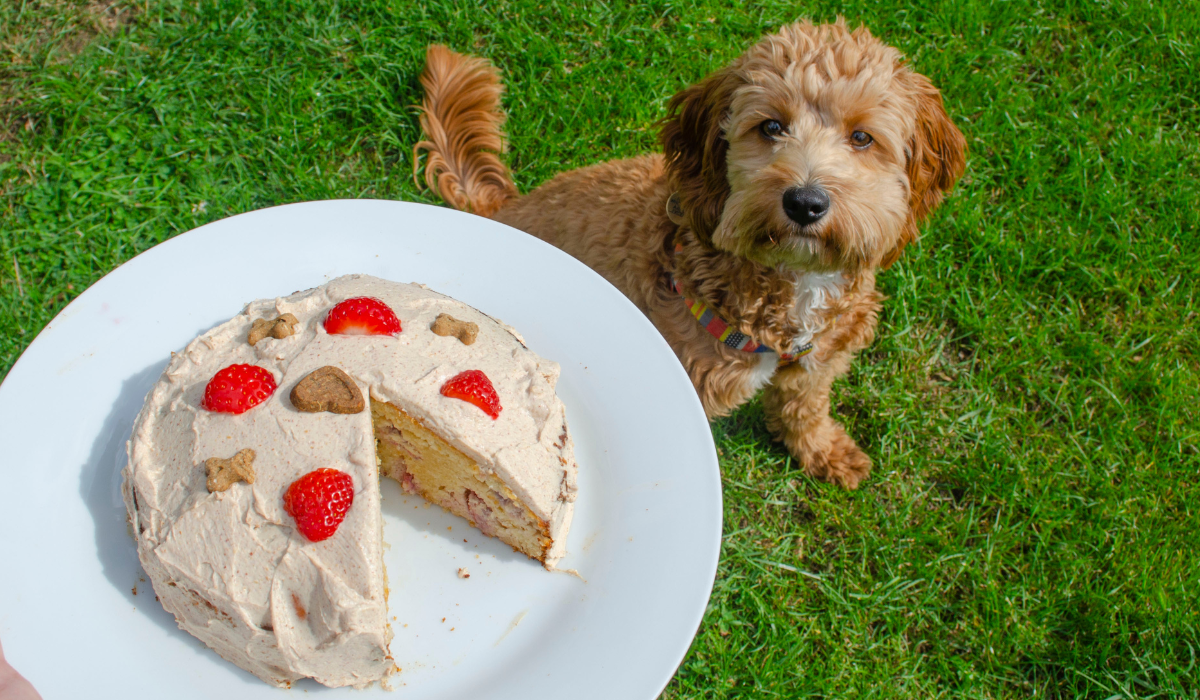 Berry Almond Cake