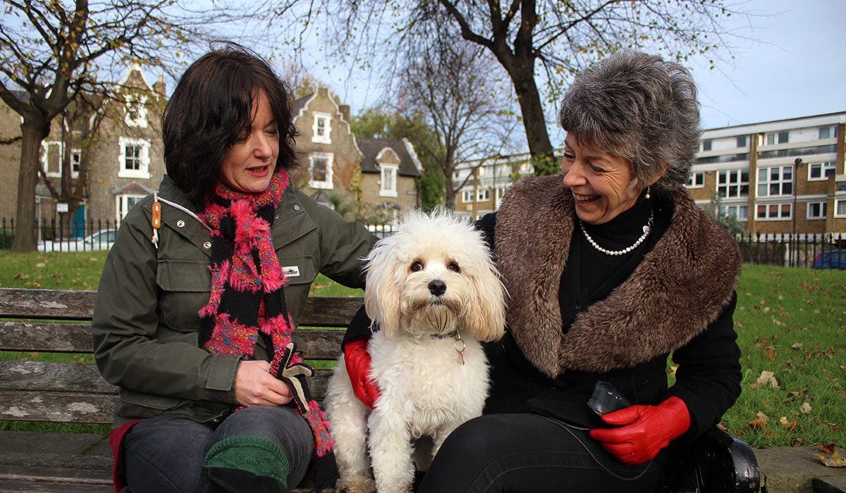 Poppy, Alexandra and Katy