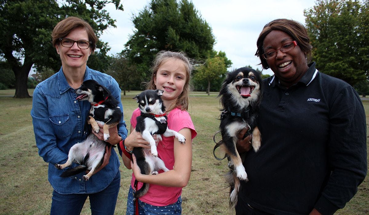 Beau, Murphy, Moushska, Marie-Antoinette and Suzanne