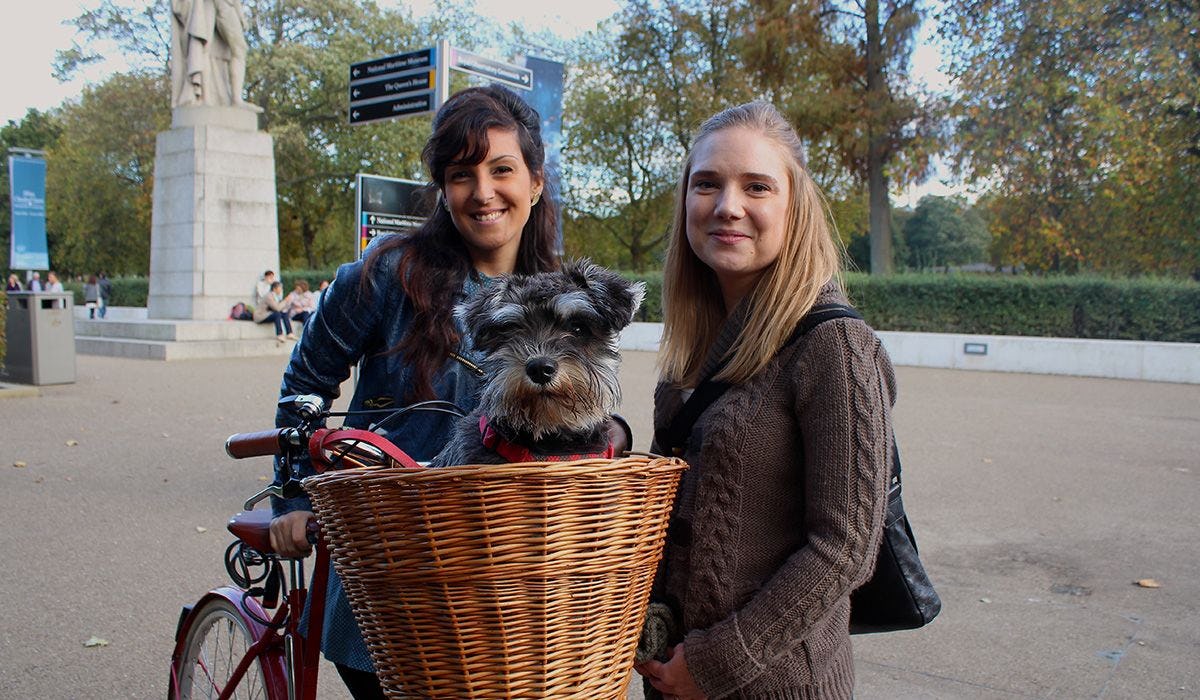 Fuggle, Ingrid and Cathy