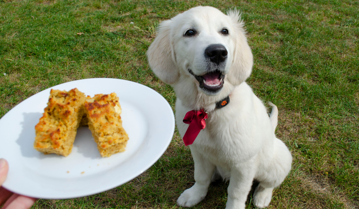 Sweet potato and apple bread for dogs