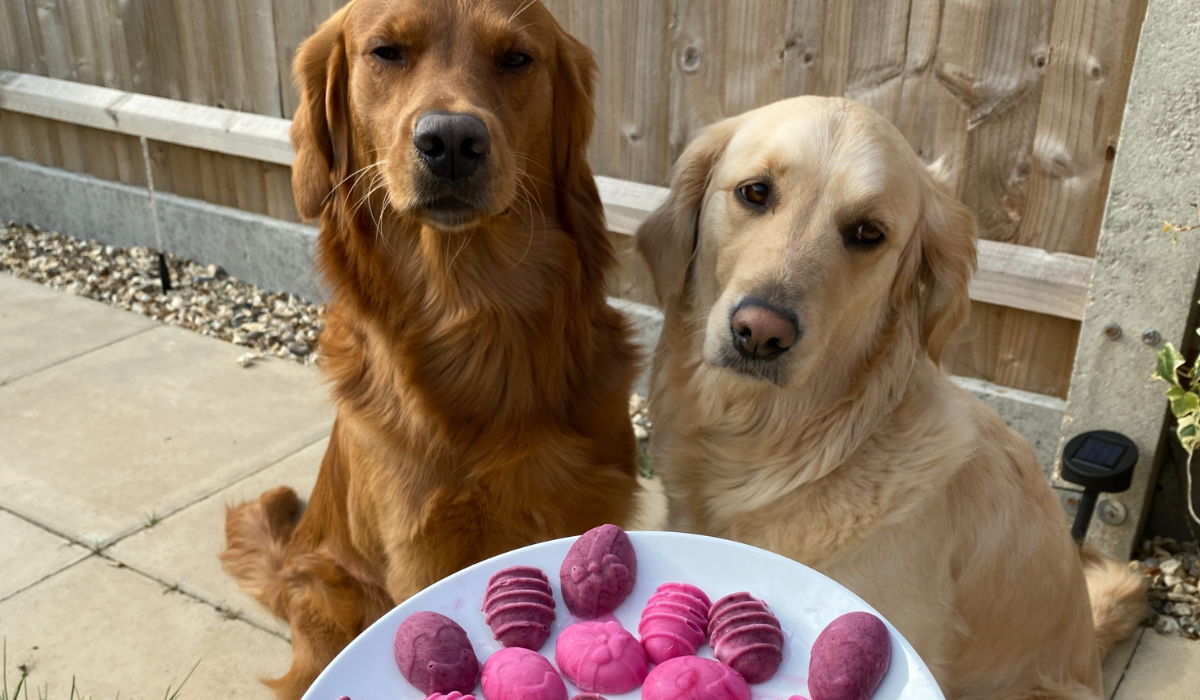 Easter egg dog treats