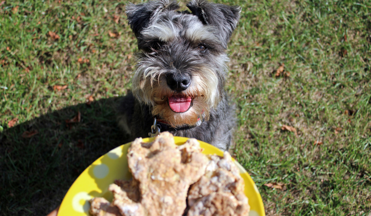 Oatmeal and Apple Biscuits