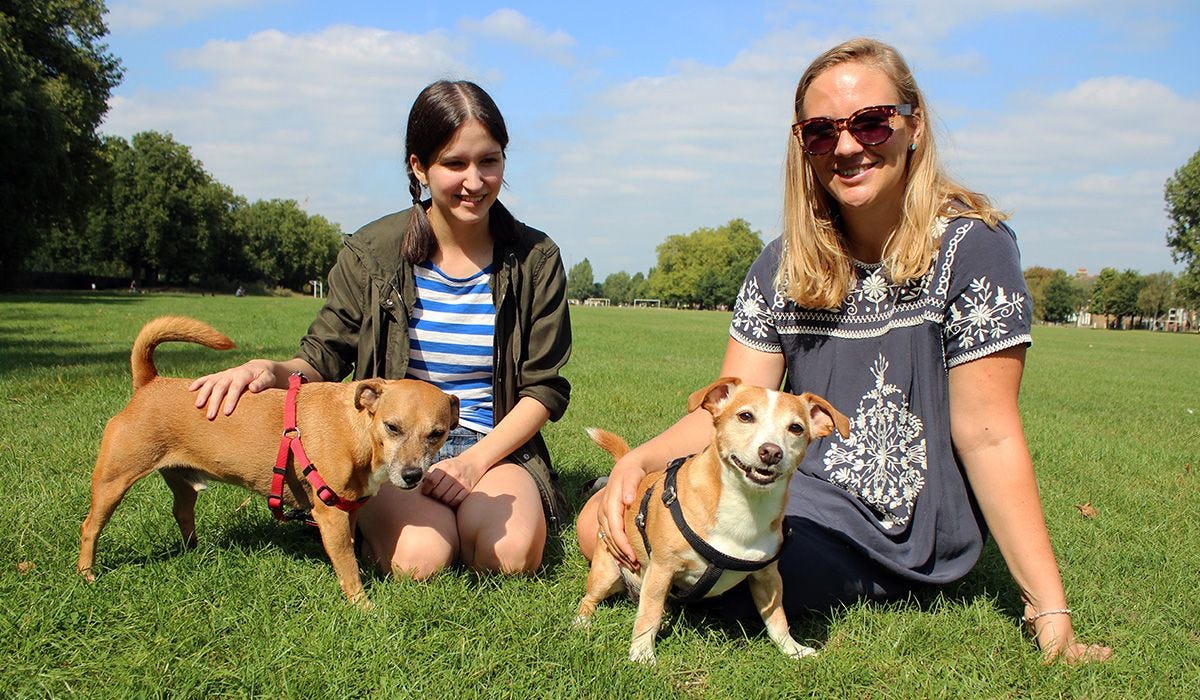 Bonzo, Jasper, Mary-Lou and Daniela