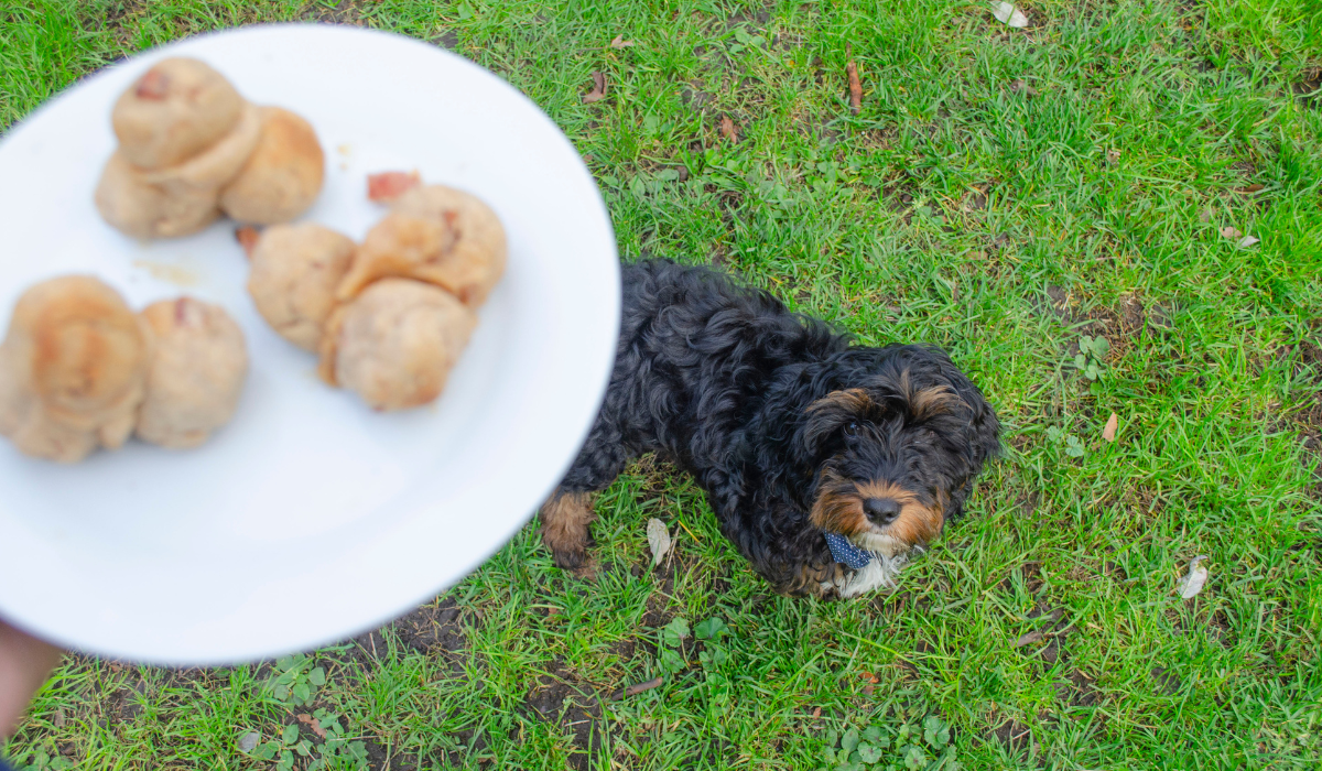 Turkey and peanut butter bites